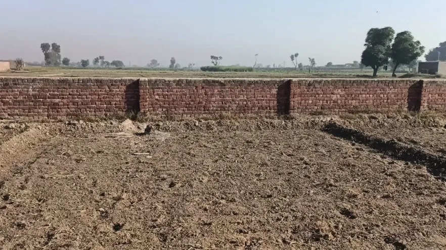 Mission field